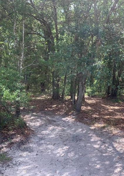 County Road 54 E Kathleen FL 33849