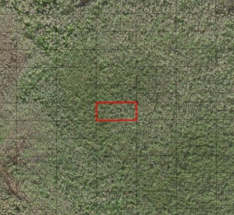 Holopaw Groves Road St. Cloud FL 34772