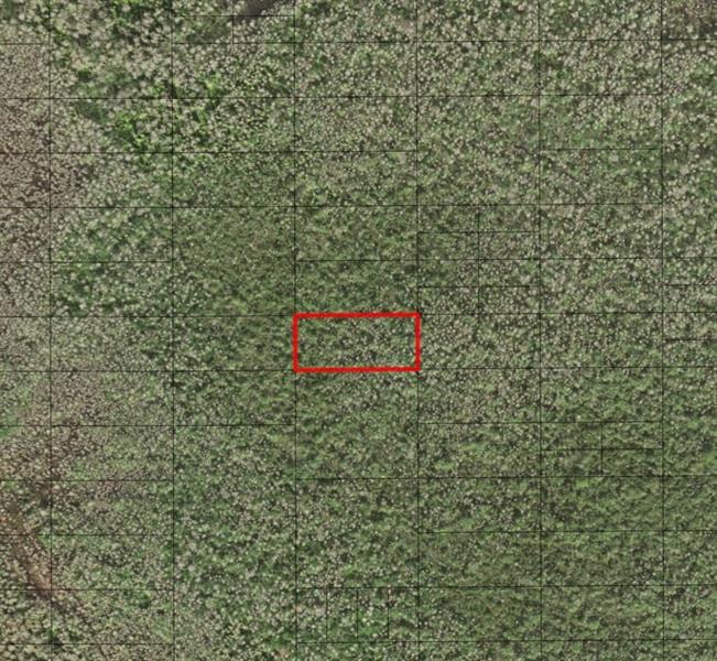 Holopaw Groves Road St. Cloud FL 34772