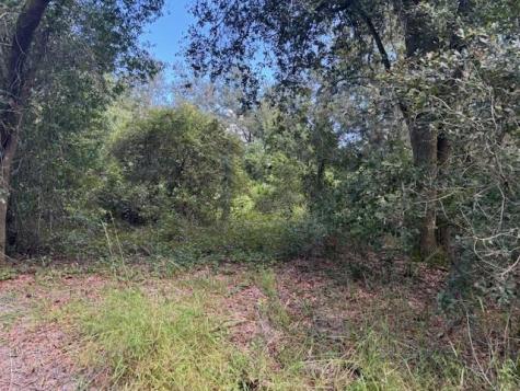 County Road 54 E Kathleen FL 33849