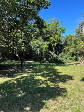 4170 Manor Forest Boulevard Boynton Beach FL 33436