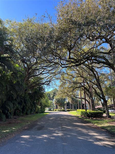 4170 Manor Forest Boulevard Boynton Beach FL 33436