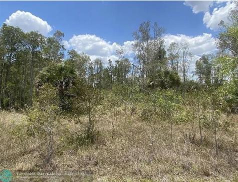 318 Kerrsdale Circle Lehigh Acres FL 33974