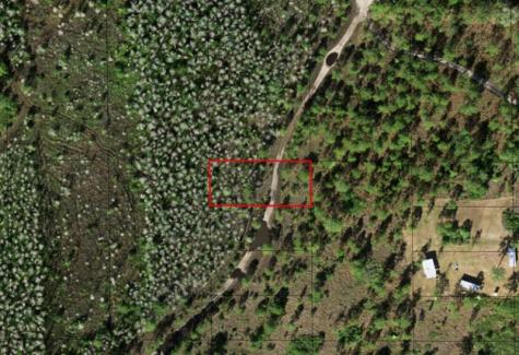 Holopaw Groves Road St. Cloud FL 34772