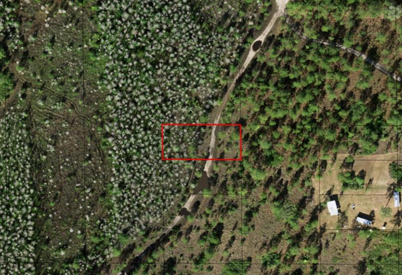 Holopaw Groves Road St. Cloud FL 34772