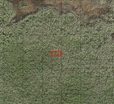Holopaw Groves Road St. Cloud FL 34772