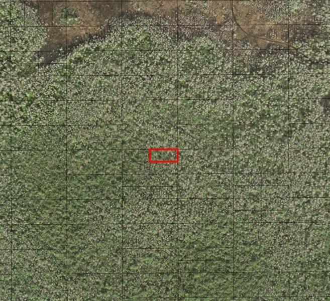 Holopaw Groves Road St. Cloud FL 34772