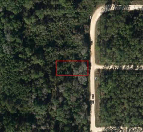 Ida Boulevard Interlachen FL 32148