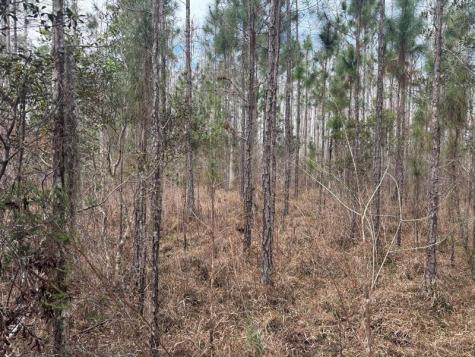 Old Grade Road Other City - In The State Of Florida FL 33868