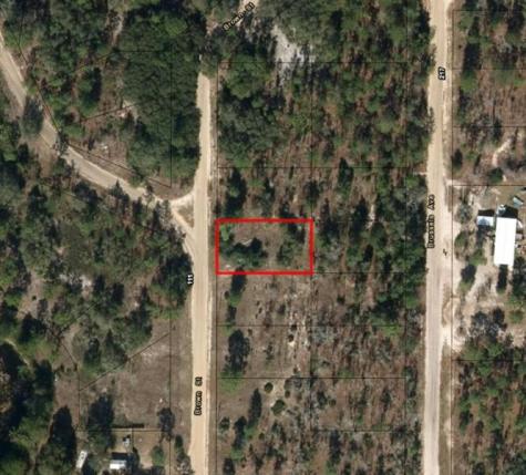110 Brown Street Interlachen FL 32148