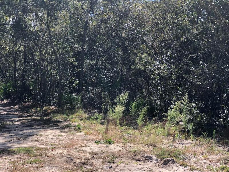Oregon Street Interlachen FL 32148