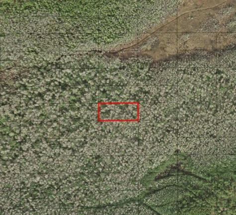 Holopaw Groves Road St. Cloud FL 34772