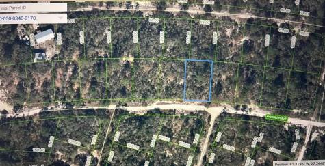 328 Hossler Avenue Lake Placid FL 33852