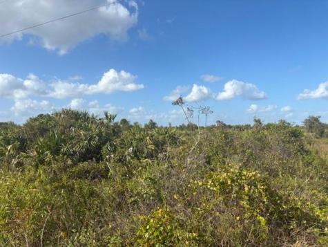 15463 NW 256th Street Okeechobee FL 34972