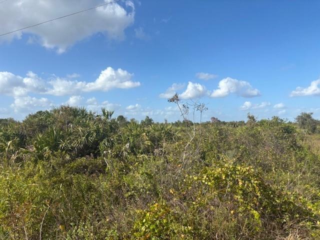 15463 NW 256th Street Okeechobee FL 34972