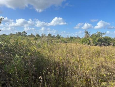 15463 NW 256th Street Okeechobee FL 34972