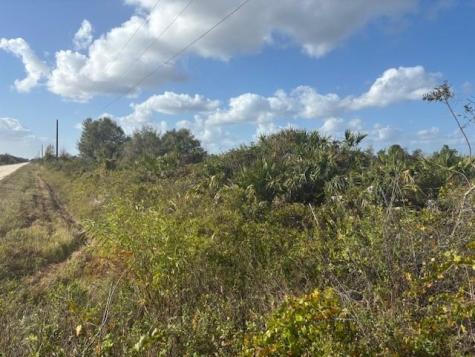15463 NW 256th Street Okeechobee FL 34972