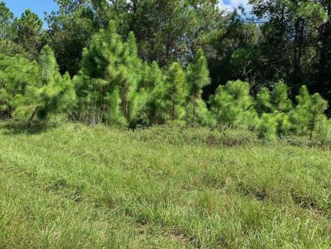 Old Grade Road Other City - In The State Of Florida FL 33868