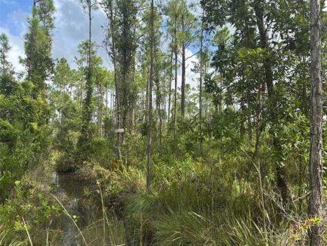 Co Road 630 Lake Wales FL 33898