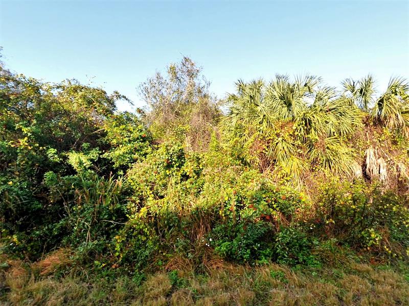 Lot 14 Halo Avenue North Port FL 34288