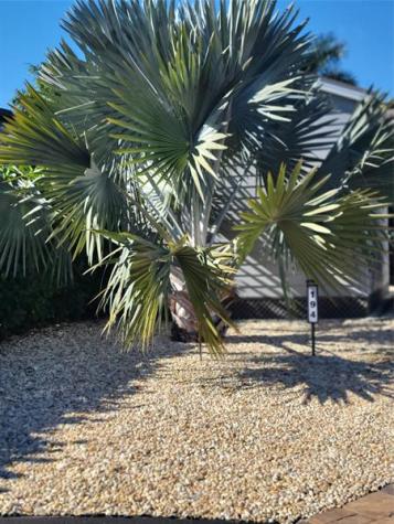 3603 SW 7th Path Okeechobee FL 34974