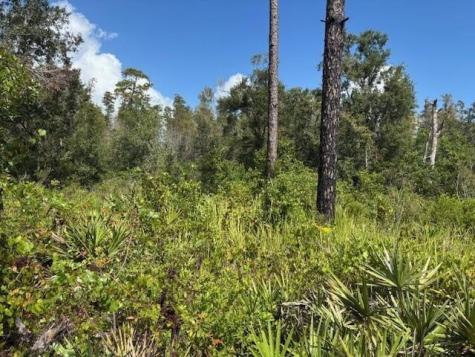 County Road 54 E Kathleen FL 33849