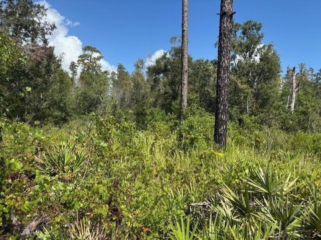 County Road 54 E Kathleen FL 33849