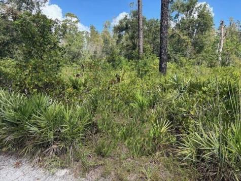 County Road 54 E Kathleen FL 33849