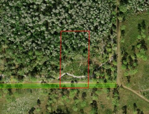 County Road 54 E Kathleen FL 33849