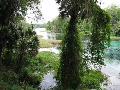 lot1 SW 158th Court Ocala FL 34481