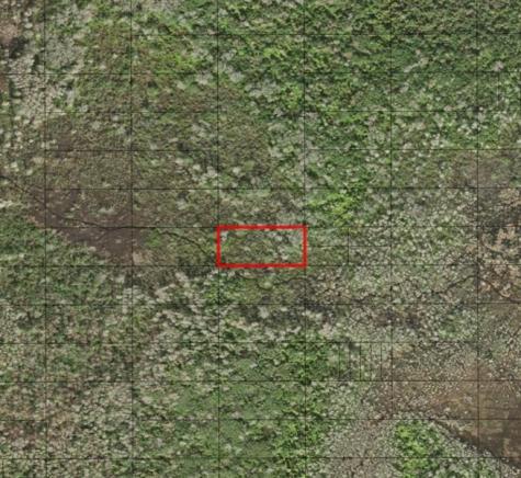 Holopaw Groves Road St. Cloud FL 34772