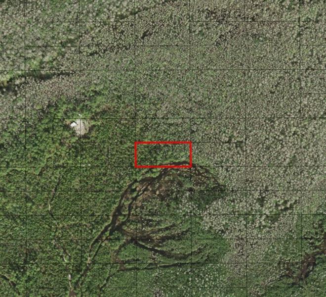 Holopaw Groves Road St. Cloud FL 34772