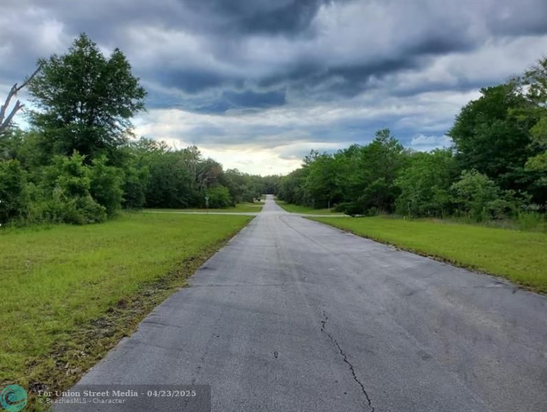 Lot 5 SW 138 Lane Ocala FL 34473