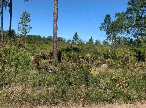 329 Phesant Boulevard Sebring FL 33872