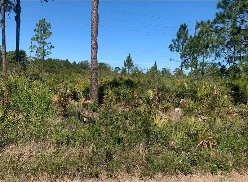 329 Phesant Boulevard Sebring FL 33872