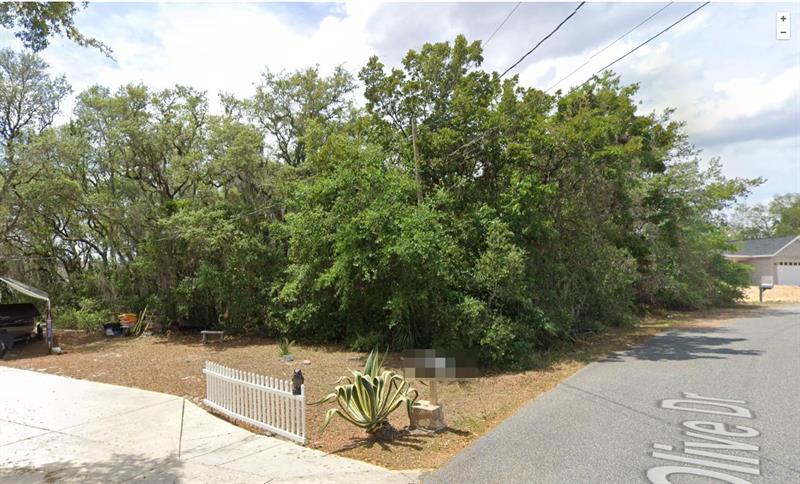 26 Olive Drive Ocala FL 34472