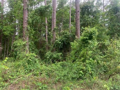 121 Coot Drive Satsuma FL 32148