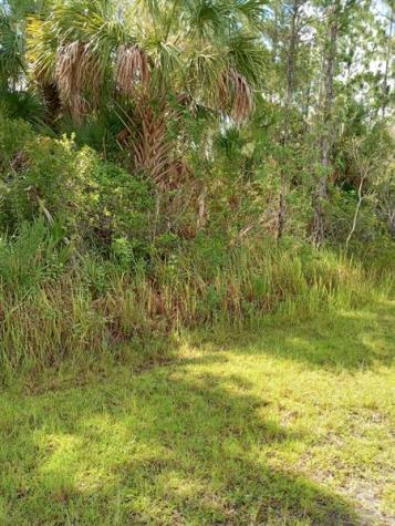 2655 SW Labin Avenue Palm Bay FL 32908