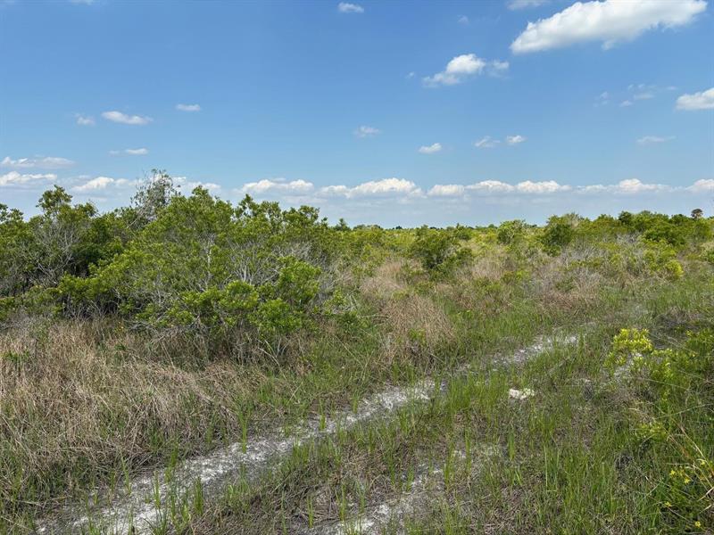 NW 318th Street Okeechobee FL 34972