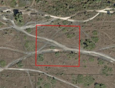 NW 318th Street Okeechobee FL 34972