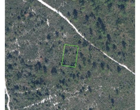 8121 Armisha Other City - In The State Of Florida FL 33870