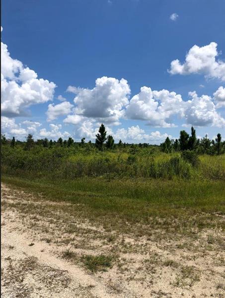 Calliandra Drive Indian Lake Estates FL 33855