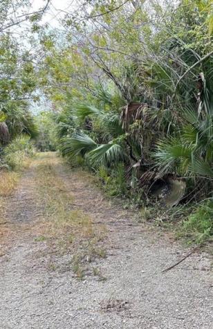 Hidden Oaks Lane Oak Hill FL 32759
