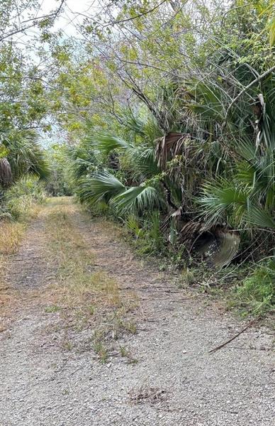 Hidden Oaks Lane Oak Hill FL 32759