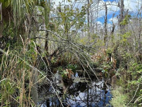 Hidden Oaks Lane Oak Hill FL 32759