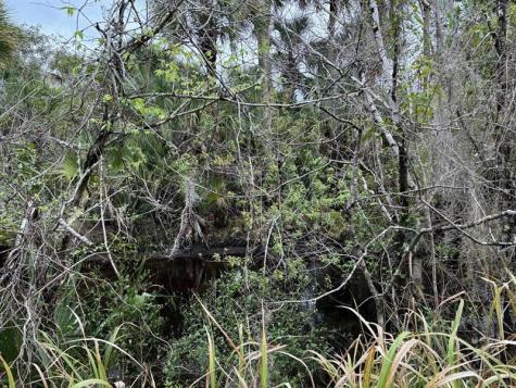 Hidden Oaks Lane Oak Hill FL 32759