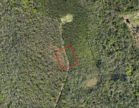 Hidden Oaks Lane Oak Hill FL 32759