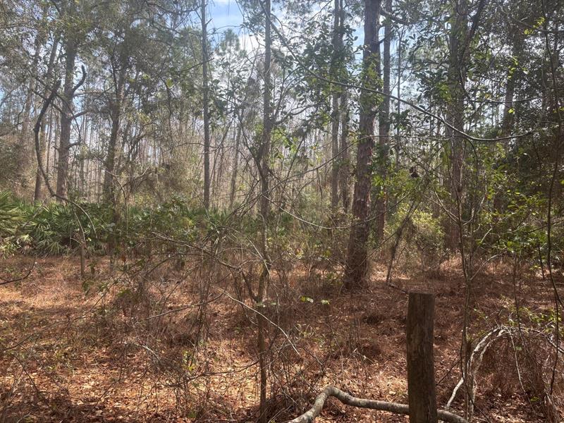 Old Grade Road Other City - In The State Of Florida FL 33868