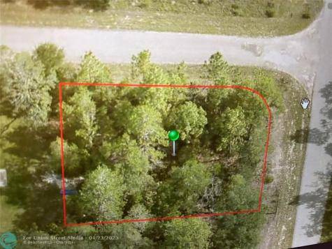 6689 N Bedstrow Boulevard Citrus Springs FL 34434