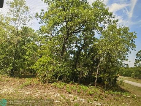 6689 N Bedstrow Boulevard Citrus Springs FL 34434